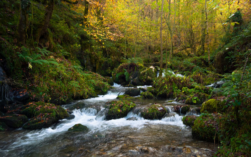 Asturias es un paraíso natural de bosques densos, altas montañas y la constante presencia del agua - Oscar Fernández Hevia para Flickr